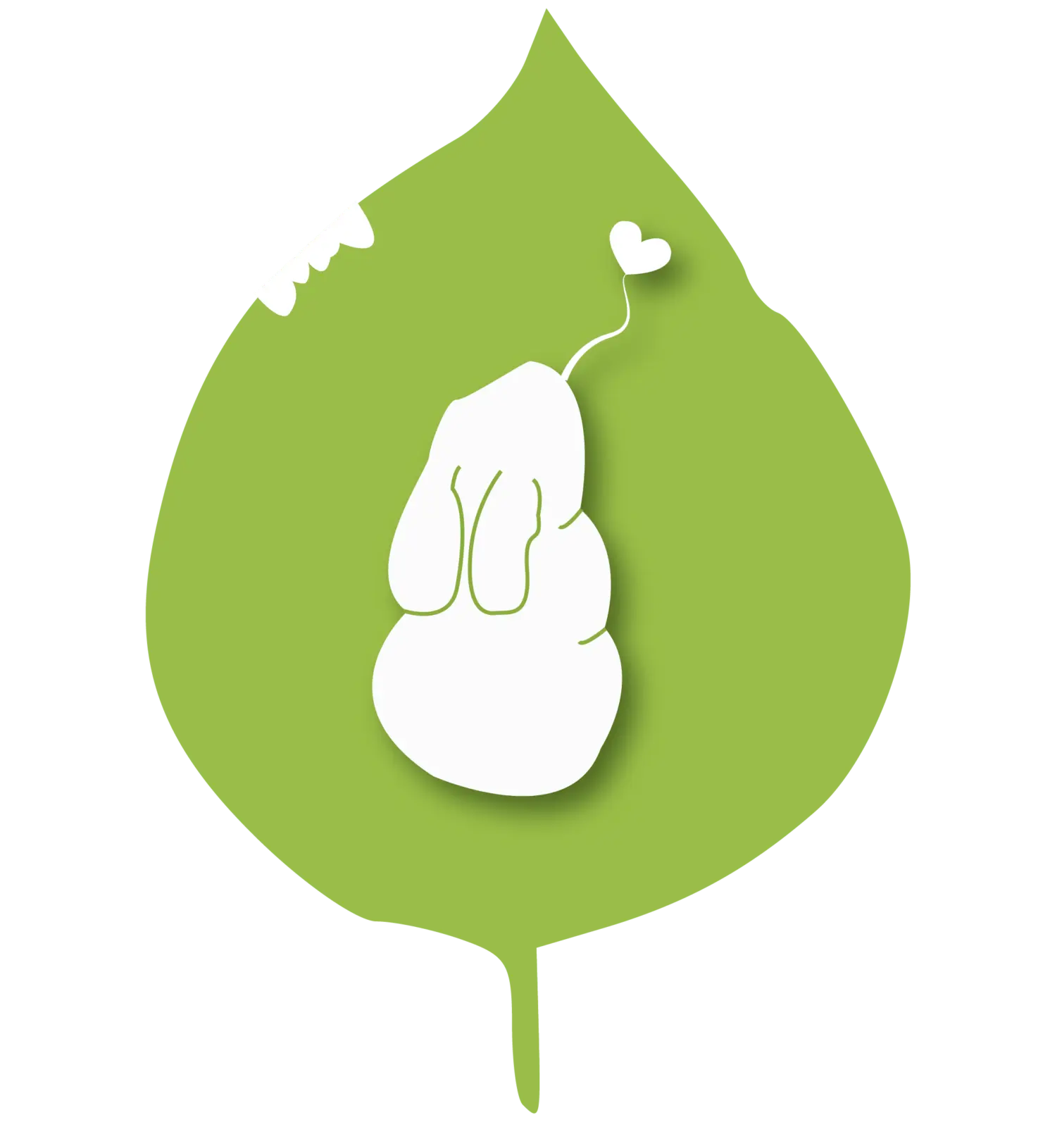 Home 24 No animal testing 01