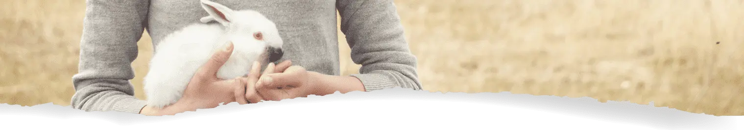 About us background breadcrumb