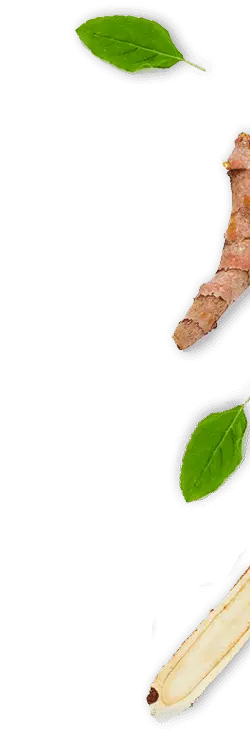 Home_lateral_right Home lateral right 2